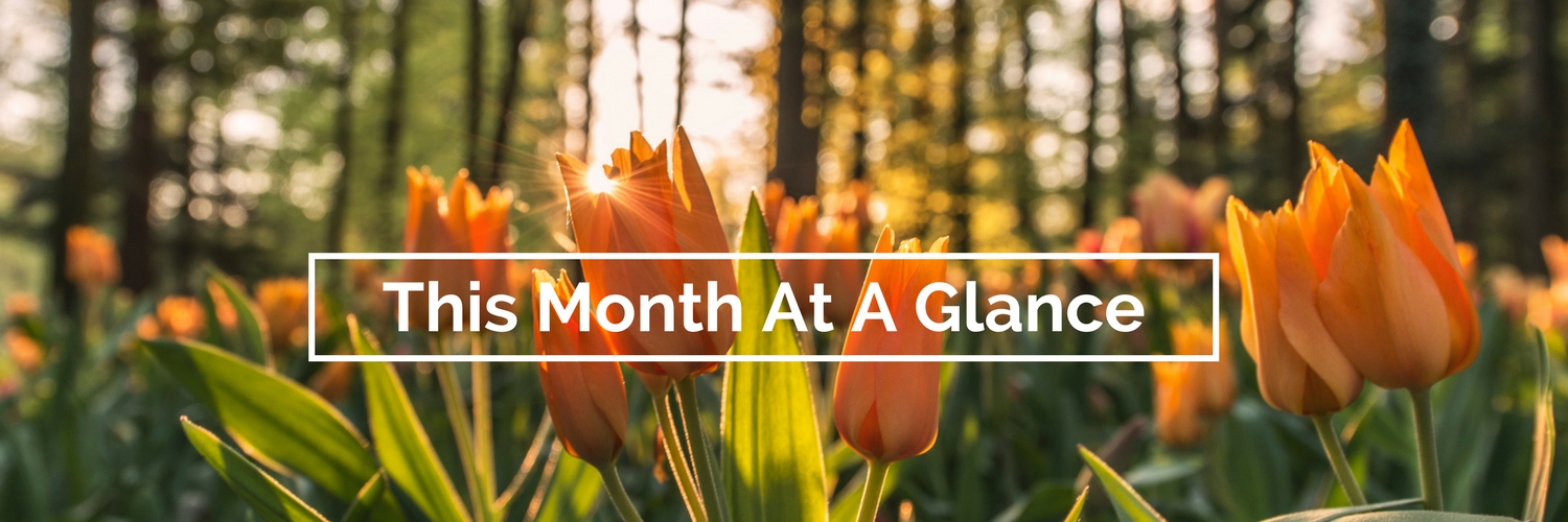 This Month at a Glance…
